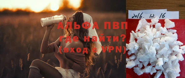 крисы Аркадак