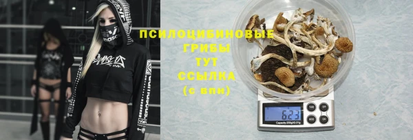 крисы Аркадак