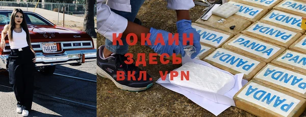 крисы Аркадак