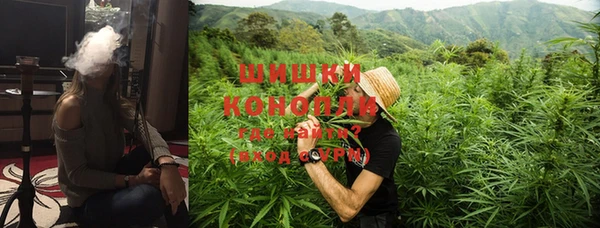 крисы Надым