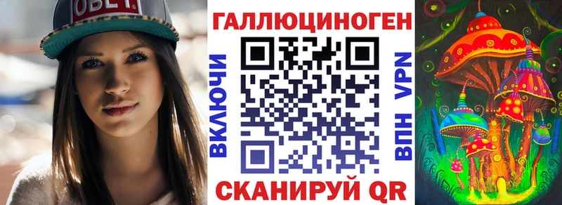 Псилоцибиновые грибы GOLDEN TEACHER  Афипский 